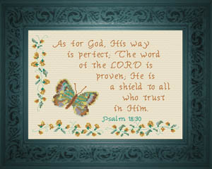 His Way is Perfect - Psalm 18:30